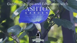 Ashton Gardens Education