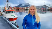 Curious Lofoten, Norway