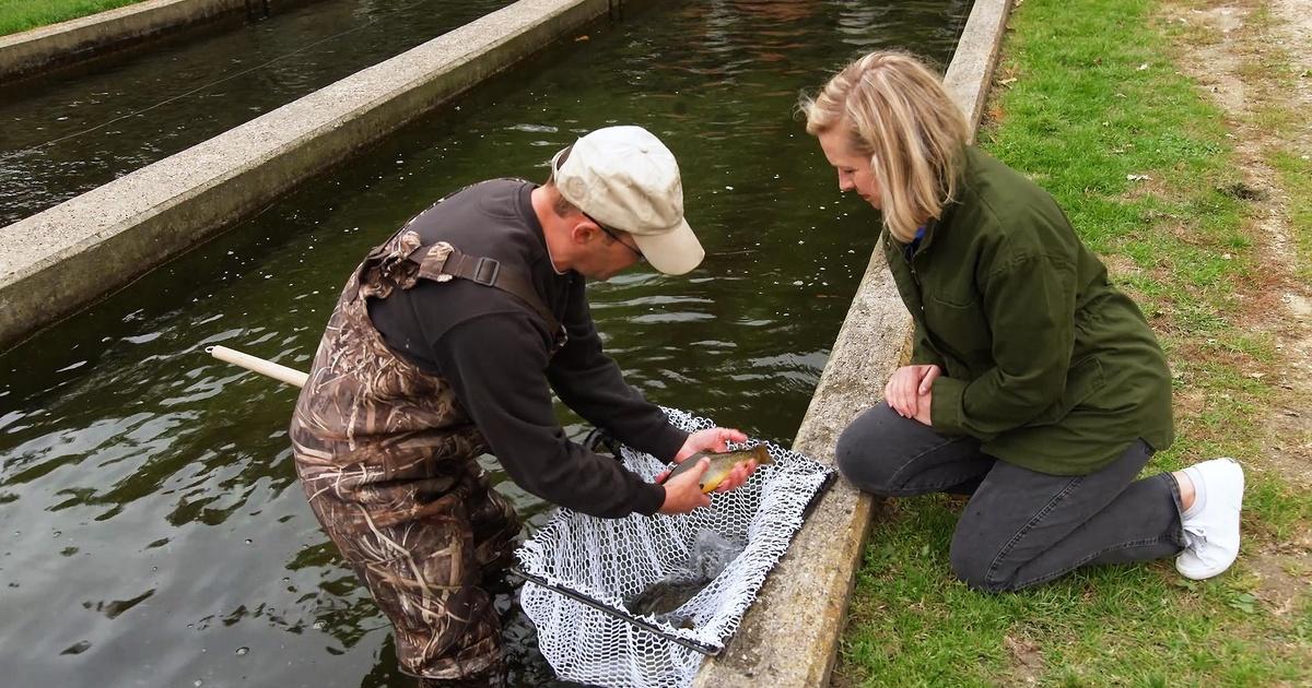 Road Trip Iowa Manchester Trout Hatchery Episode 110 PBS