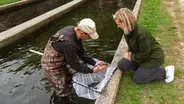 Manchester Trout Hatchery