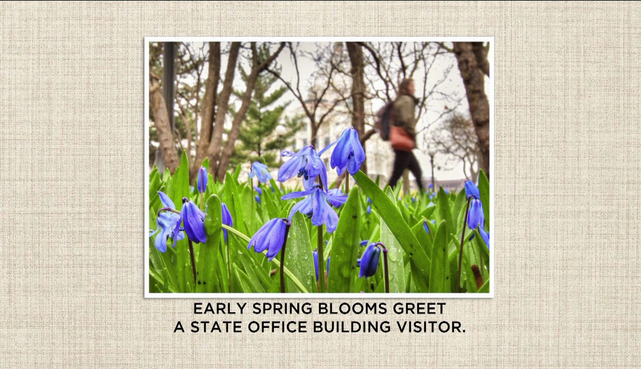 Capitol Pics: Spring is in the air