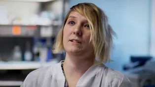 Lab Tech