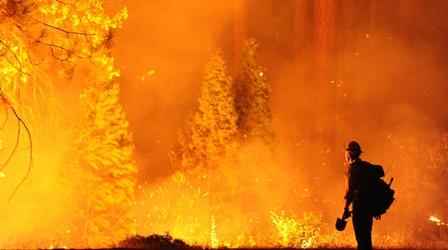 Video thumbnail: PBS Charlotte Previews Wilder than Wild: Fire, Forests and the Future