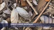 Great Lakes Invaders Storm a Chicago Beach