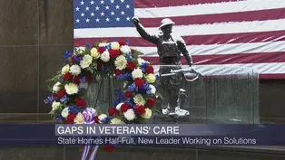 Examining Gaps in Medical Care for Illinois Veterans