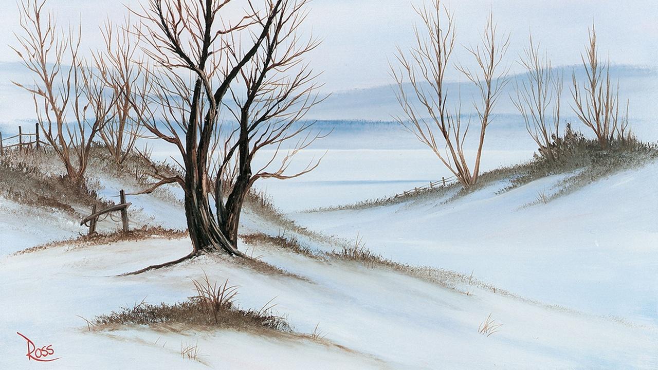 The Best of the Joy of Painting with Bob Ross | Winter Solitude