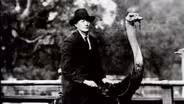 Ostrich Farms of Early Los Angeles