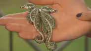 Appraisal: Coro Duette Seahorse Brooch, ca. 1945