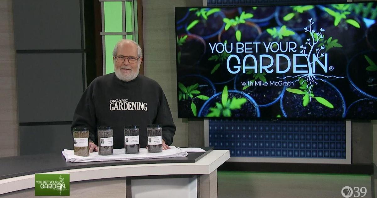 You Bet Your Garden You Bet Your Garden Ep 29 Season 2019