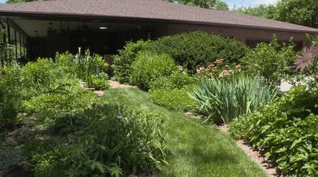 Video thumbnail: Backyard Farmer Backyard Farmer: Backyard Garden Evolution