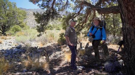 Video thumbnail: Outdoor Nevada The Hidden Forest