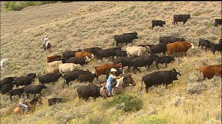 Video thumbnail: Scout-People & Culture Ranch Family Heritage (Outdoor Idaho)