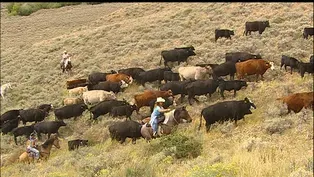 Ranch Family Heritage (Outdoor Idaho)