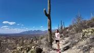 Solo Backpacking Saguaro National Park