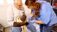 Wildlife Rehabilitation