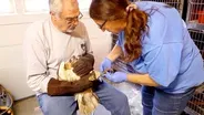 Wildlife Rehabilitation