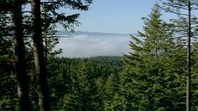 Video thumbnail: Science Trek Habitat: Habitats, Ecosystems, and Biomes
