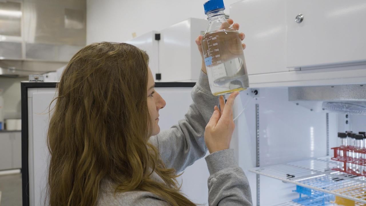 Changing Seas | Mystery of the Spinning Fish