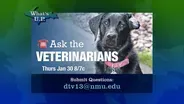 Ask the Veterinarians Returns