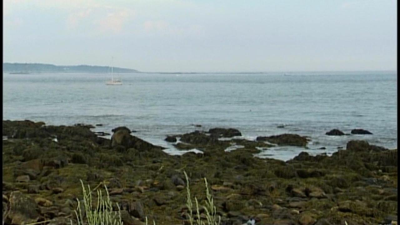 Windows to the Wild | Our Rocky Seacoast