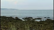 Our Rocky Seacoast
