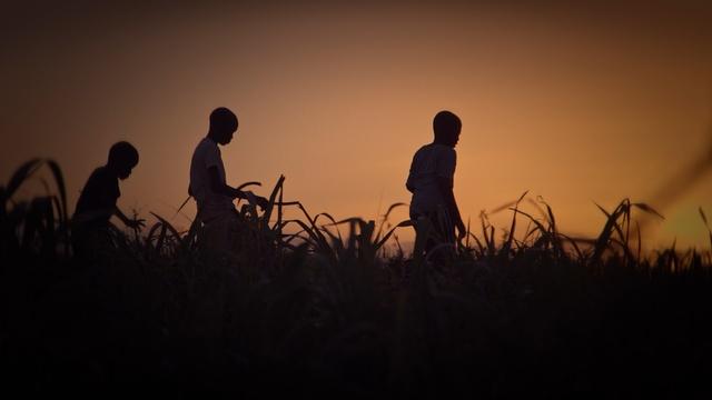 POV | Trailer | Stateless