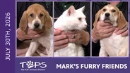 7/30/2026 | Zimo, Ruby Red and Maroon Lagoon | Mark's Furry Friends