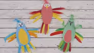 Patterns Parrot