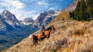 Sawtooths on My Mind Special