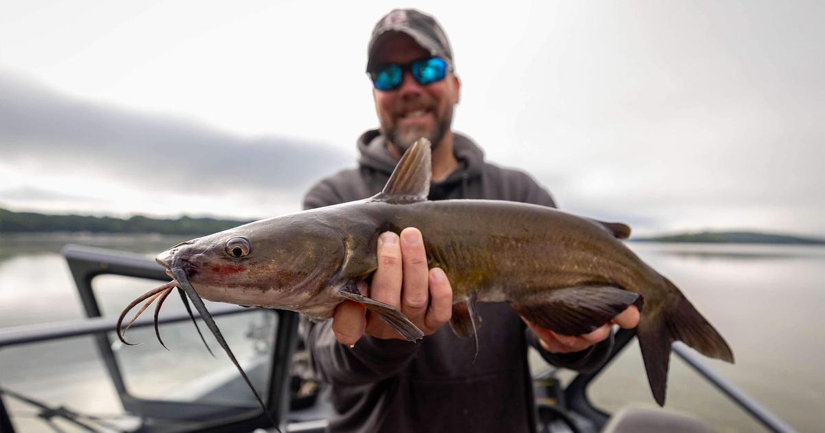 Prairie Sportsman | Catfish and Cattails | Season 16 | Episode 2 | PBS