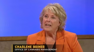 MN Office of Cannabis Management | Oct 2023