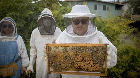 Video thumbnail: Crossing South Beekeepers & Burgers