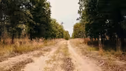 The Sandhills