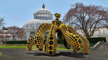 Video thumbnail: NYC-ARTS NYC-ARTS CHOICE: "KUSAMA: Cosmic Nature" at NYBG