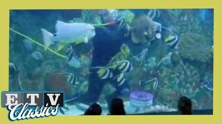 Video thumbnail: ETV Classics Riverbanks Roundup (2012)