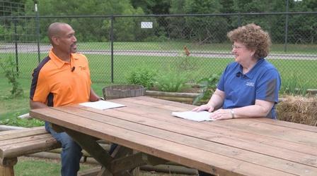 Video thumbnail: The Family Plot Planting Hibiscus and Begonias & Answering Garden Questions