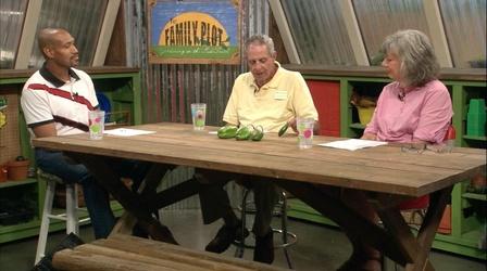 Video thumbnail: The Family Plot Peppers & Planting Myths