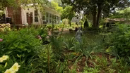 Volunteer Gardener 3506