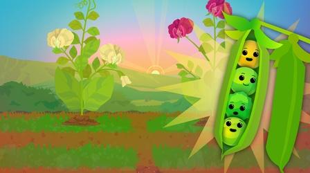 Video thumbnail: Crash Course Botany What Do Pea Plants Have To Do With Your Eye Color?