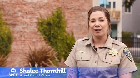 Video thumbnail: byYou News/Public Affairs CCSPCA Behind the Kennel: Shalee