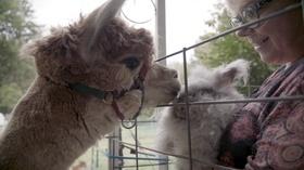 Video thumbnail: Broad and High Nimby Acre Farm & Fiber Shop