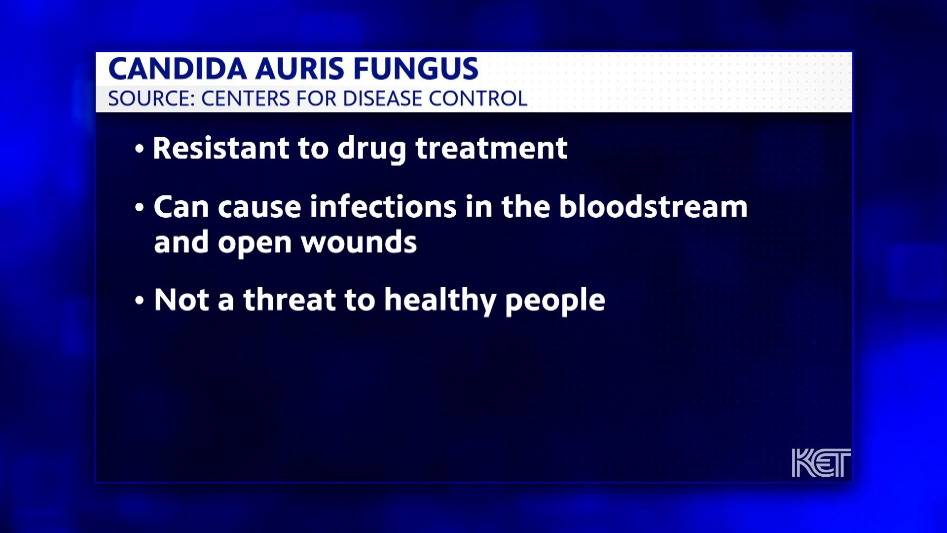 Candida Auris Fungus Found In KY Hospital Kentucky Edition