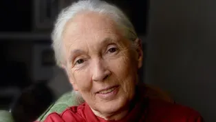 A Reason for Hope: Dr. Jane Goodall