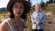 Episode #105