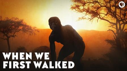 Video thumbnail: Eons When We First Walked