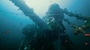 SHIPWRECKS OF BRITISH COLUMBIA - Extended Version
