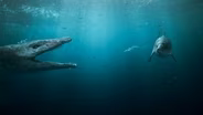 Nature: Attenborough and the Jurassic Sea Monster