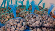 Farming the Sea