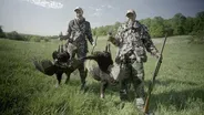 Hunting: Field to Fork