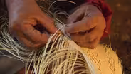 The Lost Palm Weavers of Sonora